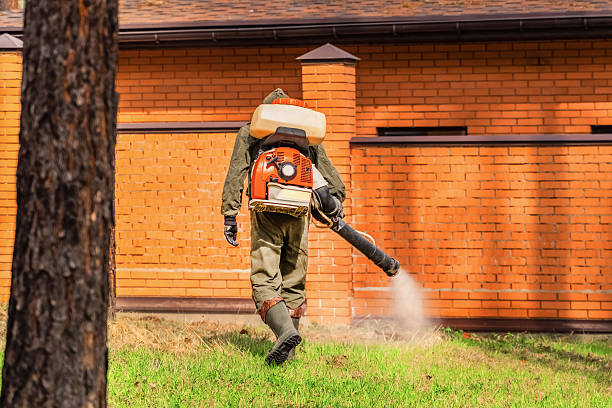 Trusted Cockroach Control service in Lake Norman of Catawba, NC - Nex Pest Control